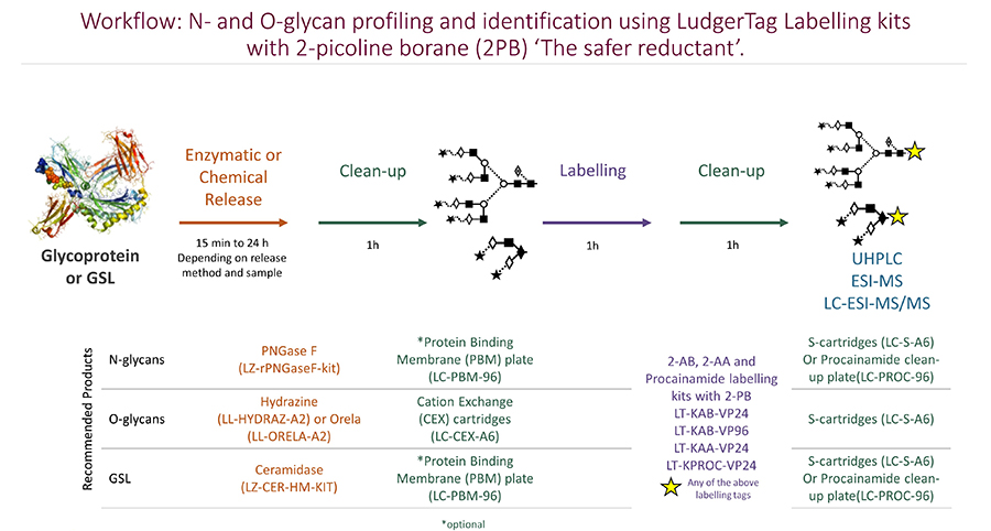 Ludger Workflow for N and O-glycan labelling
